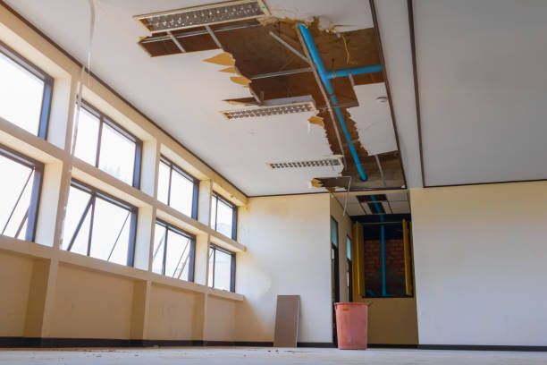 Best Ceiling water damage repair  in Tonopah, NV