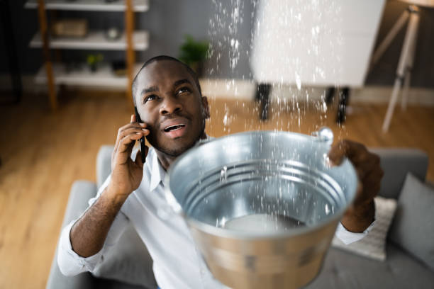 Best Emergency water damage restoration  in Tonopah, NV