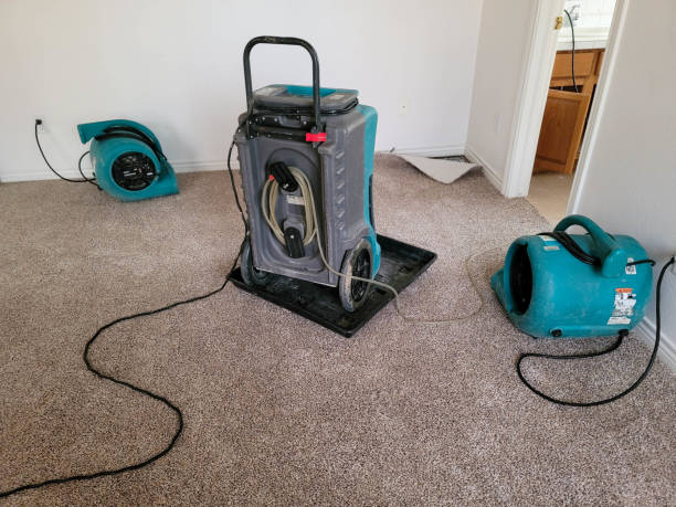 Best Commercial water damage restoration  in Tonopah, NV