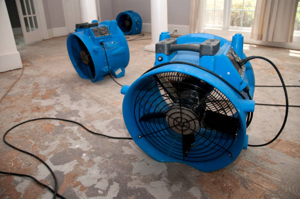 Best 24-hour water damage restoration  in Tonopah, NV