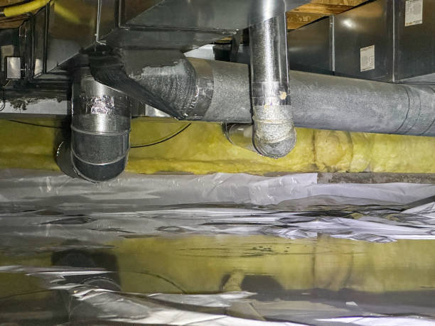 Best Flood restoration services  in Tonopah, NV
