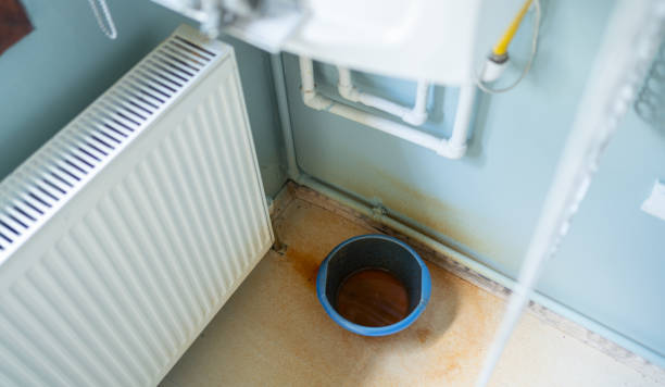 Best Sewage cleanup and water damage restoration  in Tonopah, NV