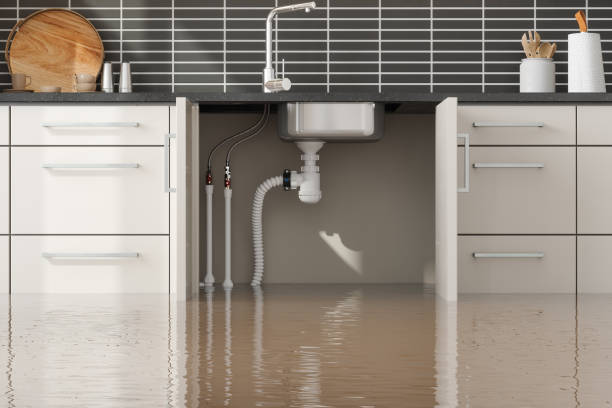 Sewage cleanup and water damage restoration in NV