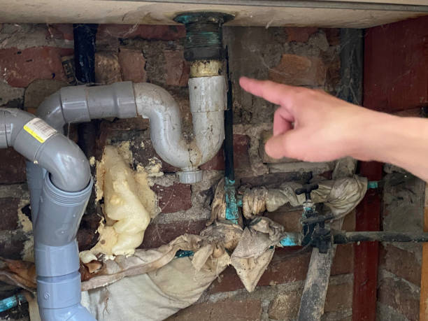 Best Water damage restoration near me  in Tonopah, NV